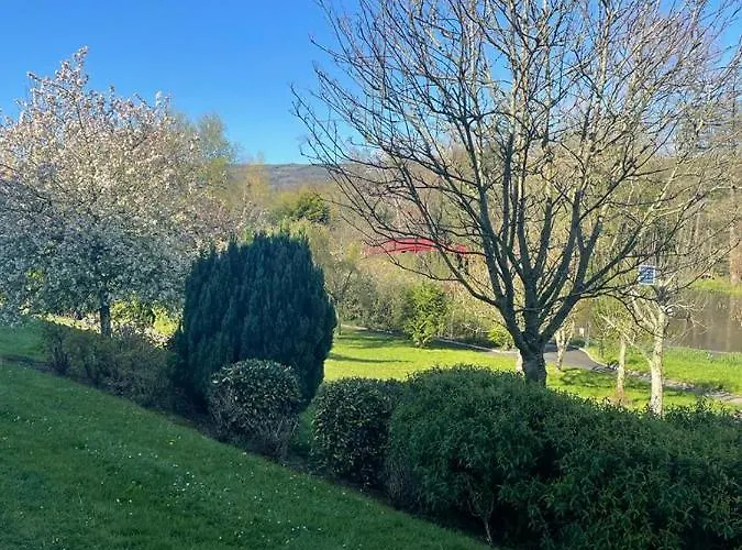 Riverside Apartment Carlow